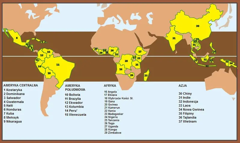 Mapa z krajami kawowymi