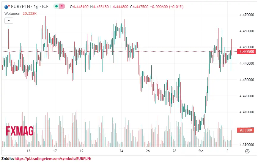 ile kosztuje euro kurs euro do zlotego eurpln w czwartek 030823 grafika numer 1