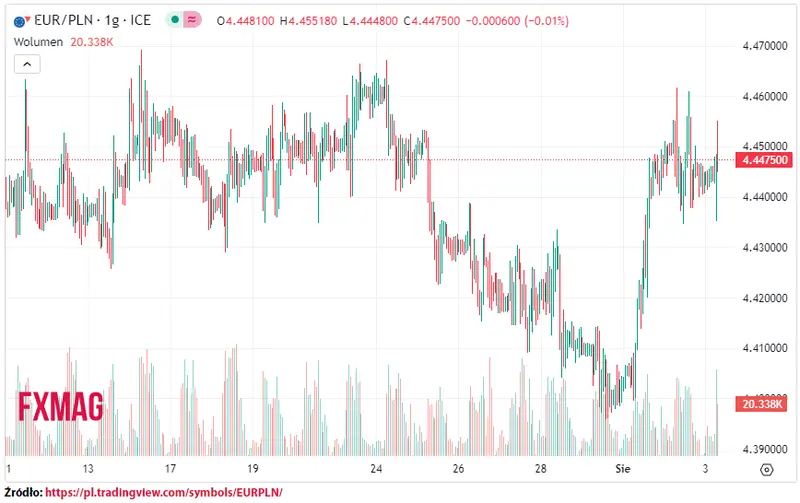 ile kosztuje euro kurs euro do zlotego eurpln w czwartek 030823 grafika numer 1