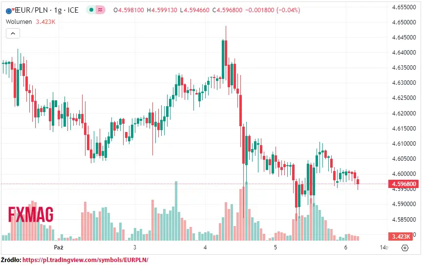 ile kosztuje euro kurs euro do zlotego eurpln w piatek 061023 grafika numer 1