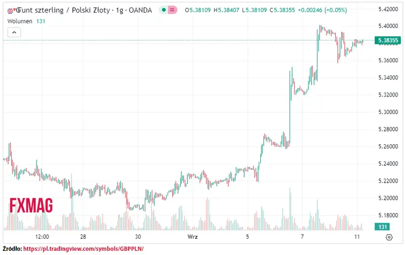 ile kosztuje funt kurs funta do zlotego gbppln w poniedzialek 110923 grafika numer 1