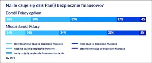 finansowe perspektywy mlodych polakow raport o podejsciu do finansow i zadluzenia grafika numer 1