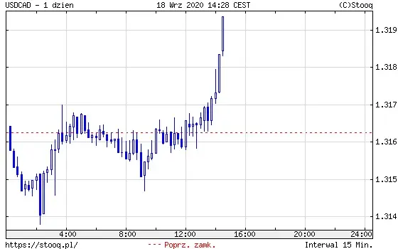 Wykres 2: Kurs USD/CAD (1 dzień)