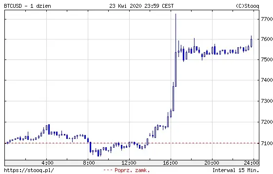 wykres kursu BTC 1 dzień