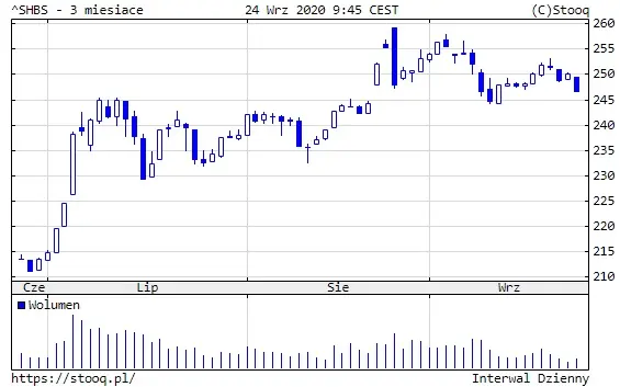 Wykres 2: Notowania indeksu Shanghai B-Share  (3 miesiące)