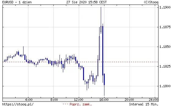 Wykres 3: Kurs EUR/USD (1 dzień)