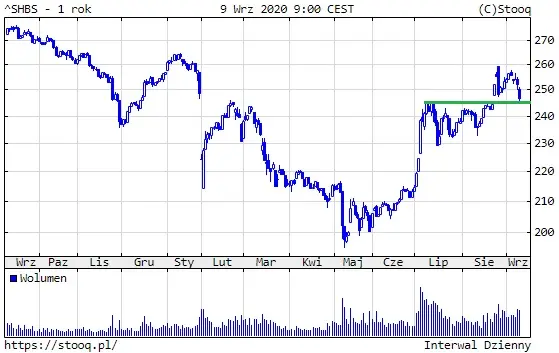 Wykres 1: Shanghai B-Share (1 rok)