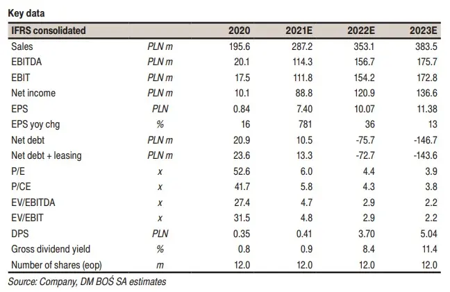 polskie akcje tanie typy inwestycyjne 2023 dm bos bossa grafika numer 3