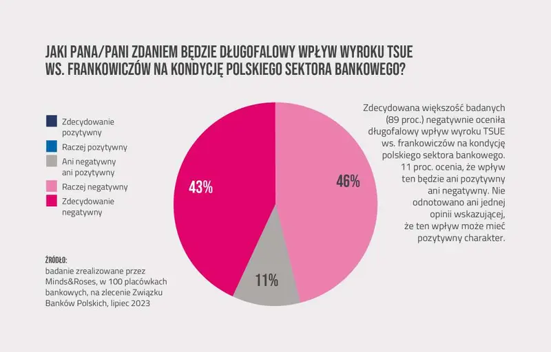 frankowy wyrok najwiekszym zagrozeniem w ocenie bankow grafika numer 2