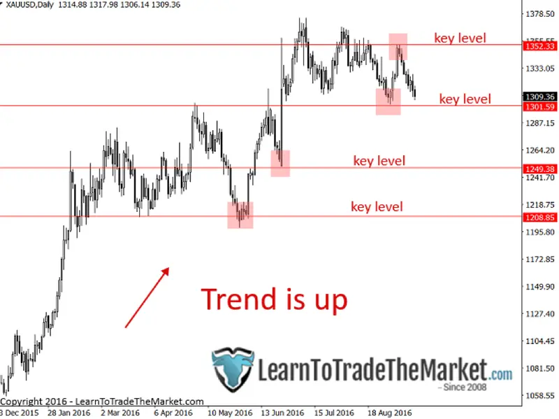 FXMAG forex nial fuller: jak przewidzieć kolejny trade? nial fuller price action zarządzanie kapitałem 1