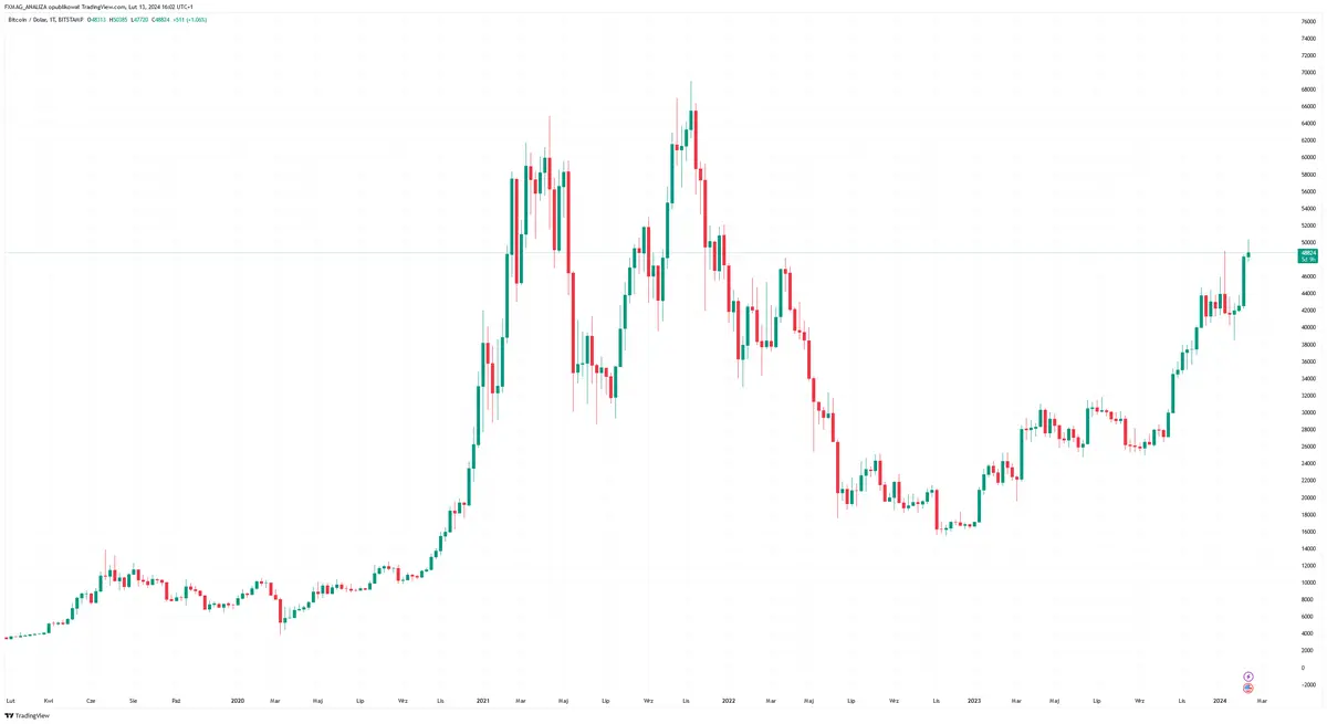 cena bitcoina mocno urosnie rzady go nie powstrzymaja twierdzi inwestor grafika numer 1