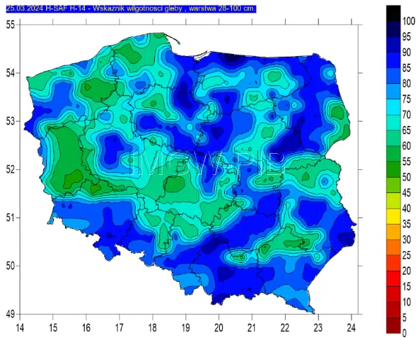 polska inflacja w marcu bedzie miec na liczniku 2 analitycy obstawiaja jak duzy bedzie spadek grafika numer 5