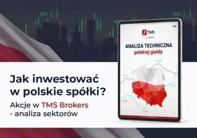 Jak inwestować w polskie spółki? Analiza techniczna polskiej giełdy  - 1