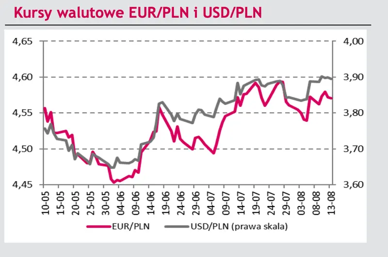 Kurs euro potężnie w górę! Prognoza walutowa eksperta mówi jasno: polski złoty nie ma najmniejszych szans - wiadomości FOREX - 1