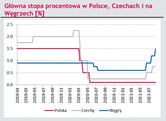 Kursy walut zaskoczyły! Polski złoty przed szansą na mocniejsze rozegranie - wybicie w górę. Zerknij na sytuację na rynku walutowym  - 2