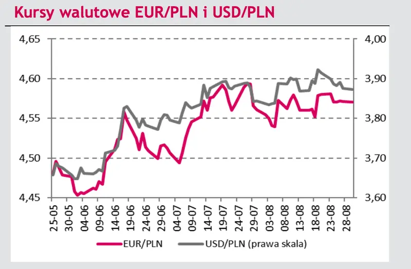 Kursy walut zaskoczyły! Polski złoty przed szansą na mocniejsze rozegranie - wybicie w górę. Zerknij na sytuację na rynku walutowym  - 3