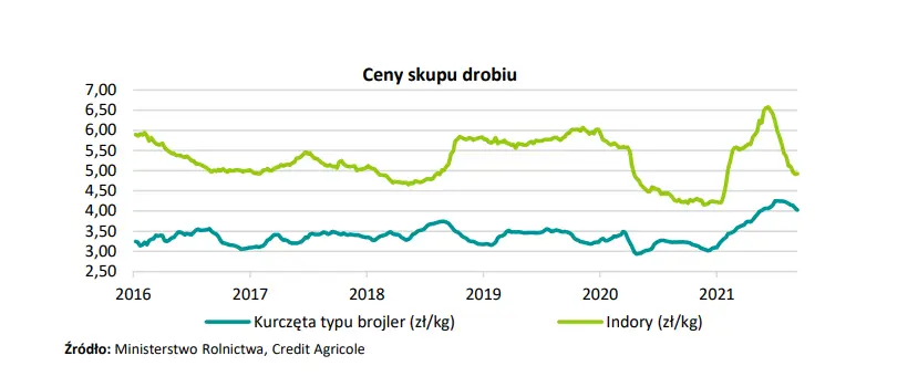 Branża drobiarska jednym z najsilniej dotkniętych przez pandemię sektorów! Jak firmy z branży odrabiają straty? - 3