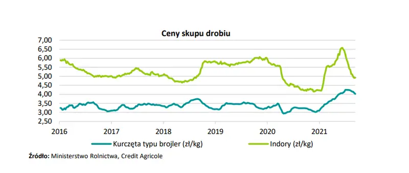 Branża drobiarska jednym z najsilniej dotkniętych przez pandemię sektorów! Jak firmy z branży odrabiają straty? - 3