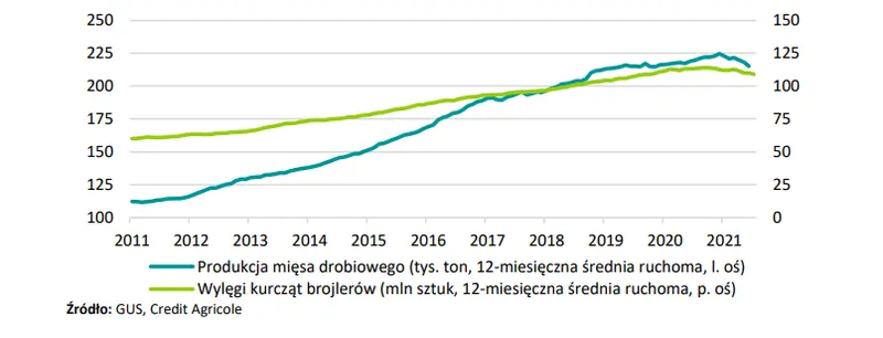 Branża drobiarska jednym z najsilniej dotkniętych przez pandemię sektorów! Jak firmy z branży odrabiają straty? - 5