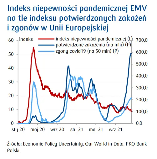 Przewidywania pandemiczne na 2022 rok. Co może się wydarzyć w tym roku w Polsce, co na świecie? Czy Covid-19 stanie się wirusem endemicznym? - kwartalnik ekonomiczny - 2