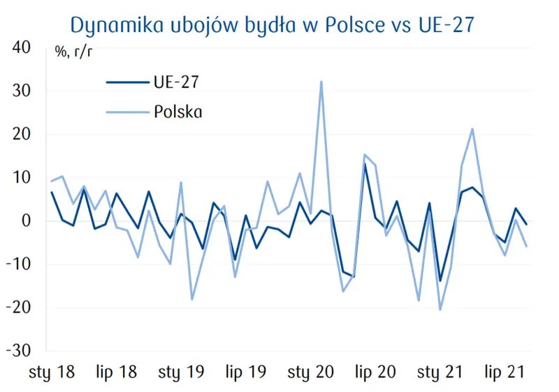 Wołowina – ceny bydła biją kolejne rekordy! Jak wygląda produkcja i handel na rynkach europejskich? - 1