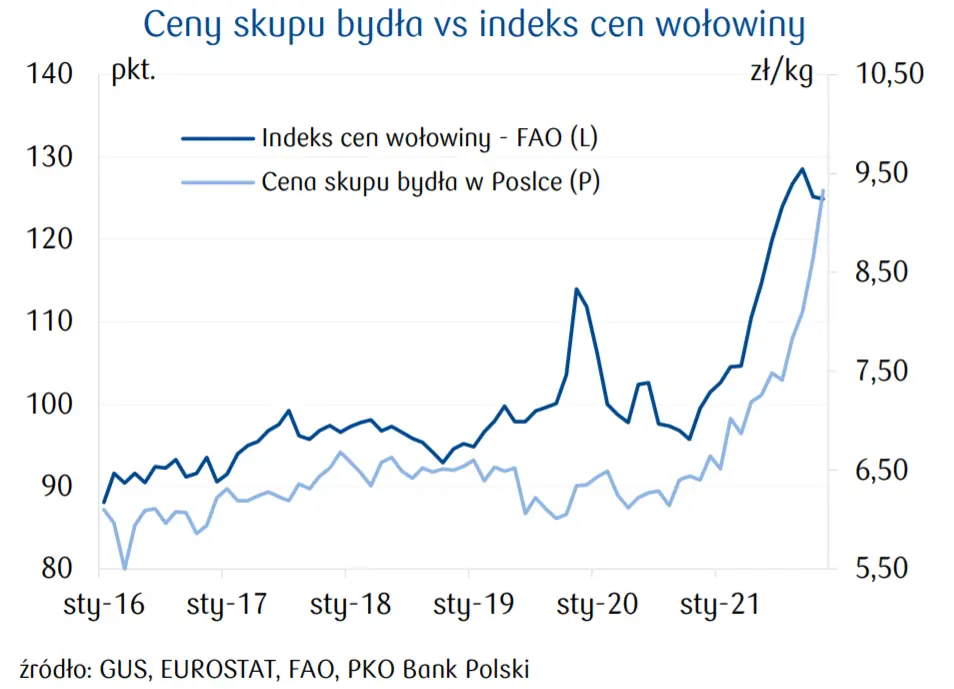 Wołowina – ceny bydła biją kolejne rekordy! Jak wygląda produkcja i handel na rynkach europejskich? - 3