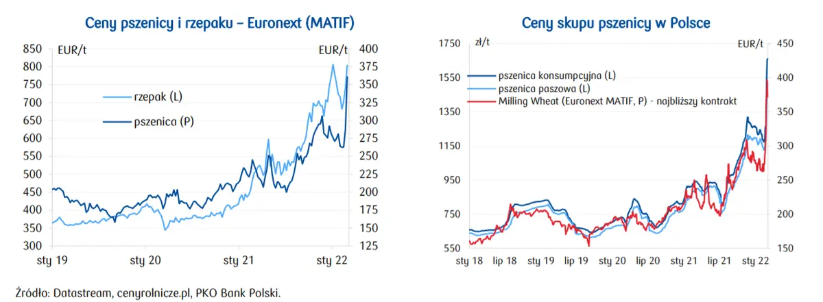 Cena pszenicy: nowe rekordy na światowych giełdach! Tempo inflacji żywności w 2022 nabiera rozpędu! [ceny skupu pszenicy w Polsce, ceny rzepaku, koszty zużycia energii, ceny ropy BRENT] - 1