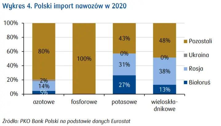 Produkcja nawozów w Polsce a handel zagraniczny - analizy sektorowe PKO   - 3