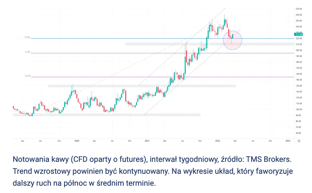 Cena kawy: problemy strukturalne i niskie zapasy. Zobacz tło fundamentalne oraz analizę techniczną notowań kawy  - 2