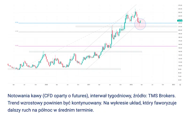 Cena kawy: problemy strukturalne i niskie zapasy. Zobacz tło fundamentalne oraz analizę techniczną notowań kawy  - 2