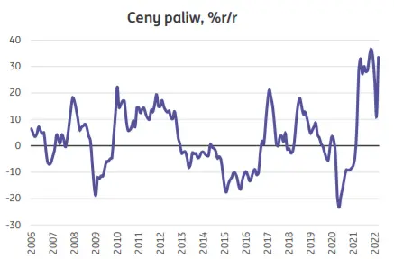 Polska: Dwucyfrowy wzrost cen i rosnąca presja na RPP’ - 1