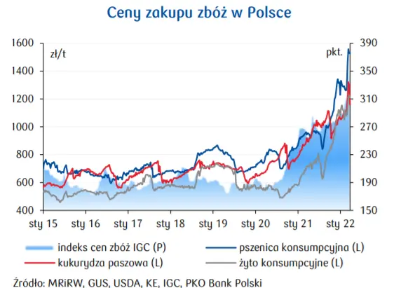 Cena pszenicy 2022: szykują się ogromne wzrosty cen na rynku zbóż! Zobacz perspektyw i prognozy   - 3