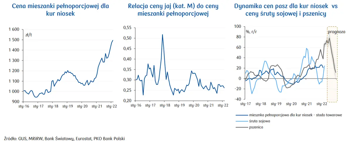 Ceny jaj w Polsce rosną! Drożejące pasze napędzają podwyżki cen jajek - analiza sektorowa  - 1