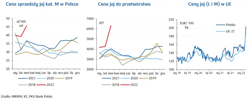 Ceny jaj w Polsce rosną! Drożejące pasze napędzają podwyżki cen jajek - analiza sektorowa  - 2