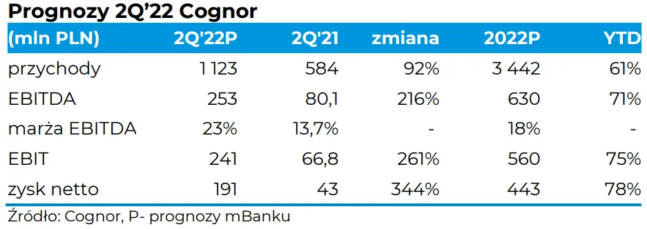Cognor SA: outlook wyników finansowych za 2022 rok - najważniejsze informacje  - 2