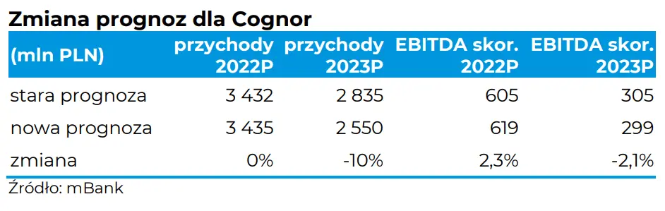 Cognor SA: outlook wyników finansowych za 2022 rok - najważniejsze informacje  - 5