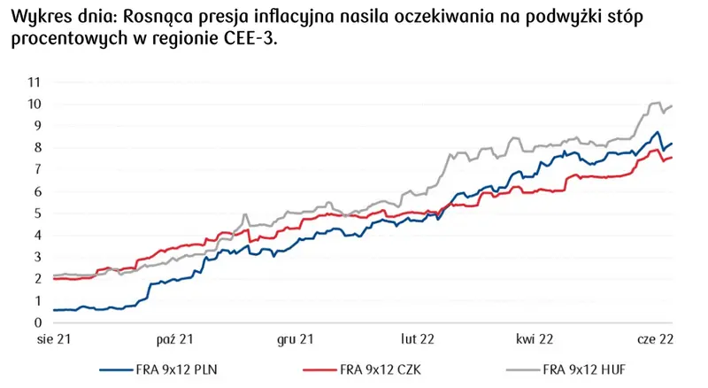 Kursy walut 28.06.: narodowa waluta (PLN) pod presją wahań rynkowego sentymentu. Notowania euro do forinta (EUR/HUF) osiągają nowe szczyty - 5