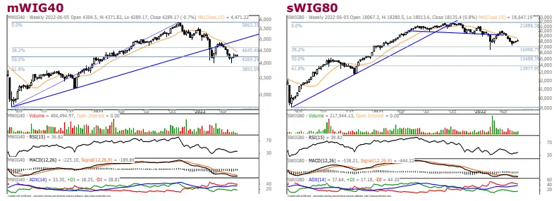 Sytuacja techniczna – zobacz, jak zachowywały się warszawskie indeksy (WIG20, mWIG40, sWIG80) w ubiegłym tygodniu - 3