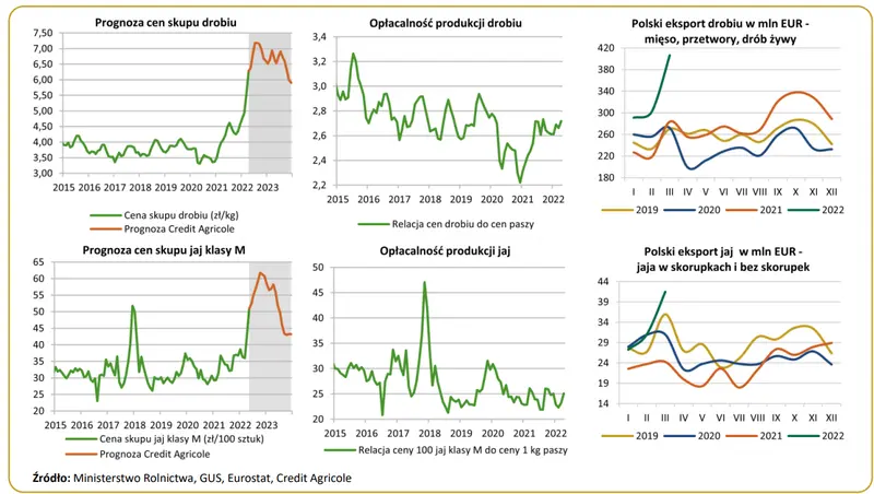 Agrobiznes: wzrost cen skupu drobiu i jaj wspierany przez ograniczenia podażowe; mocne zwiększenie wartości polskiego eksportu  - 1