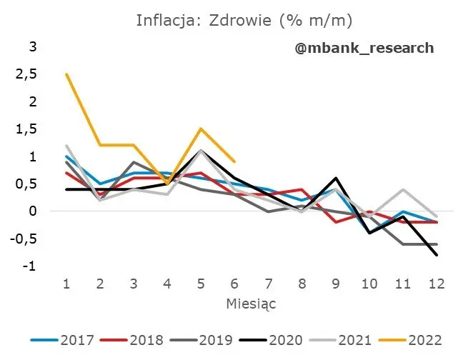 Czechy: rzut oka na strukturę inflacji - 8
