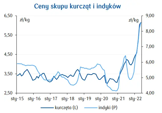 Drób: odbicie w branży drobiarskiej w Polsce, rośnie popyt - rosną ceny drobiu. Perspektywy   - 2