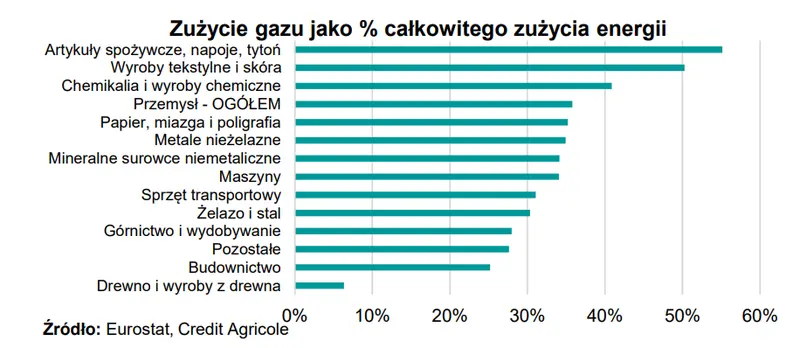 Jaki będzie wpływ niemieckiego „szoku gazowego” na polską gospodarkę? - 1