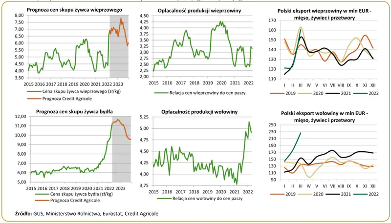 Prawdziwy cenowy rollercoaster na rynku trzody: silny wzrost cen skupu trzody chlewnej, rekordowe ceny bydła [prognoza] - 1