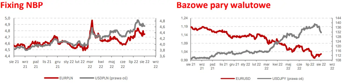 Kursy walut: Rynek walutowy w kratkę> narodowa waluta (PLN) umacnia się wraz z forintem (HUF) - 1