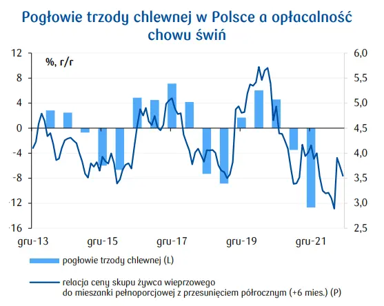 Wieprzowina: ceny trzody chlewnej w Polsce wzrosły o blisko 50%! Ale, czy to się jeszcze opłaca? Perspektywy sektorowe   - 1