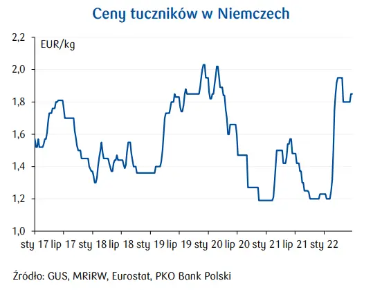 Wieprzowina: ceny trzody chlewnej w Polsce wzrosły o blisko 50%! Ale, czy to się jeszcze opłaca? Perspektywy sektorowe   - 3