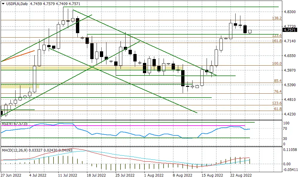 Wykres dzienny EURPLN - 1