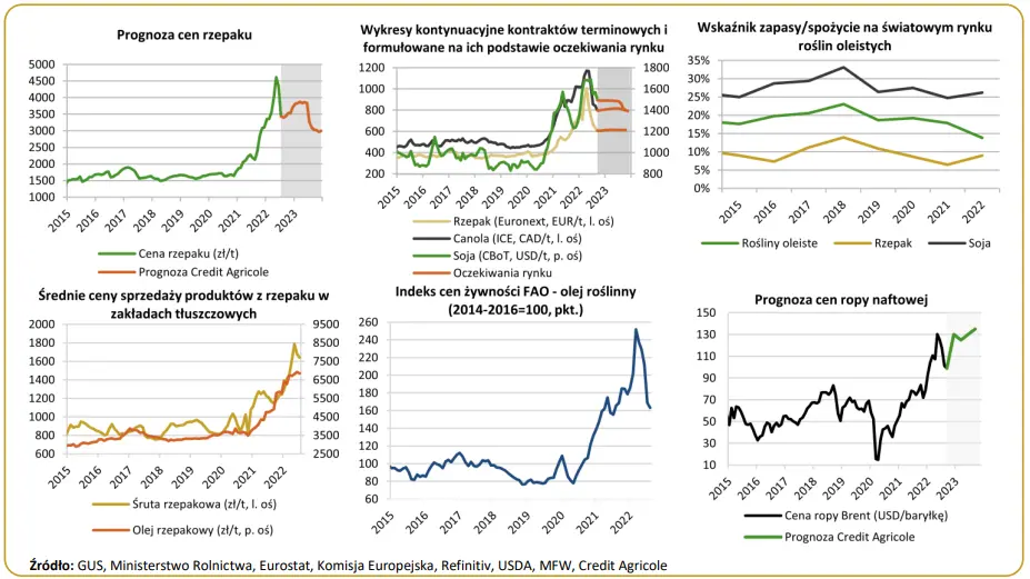 Ceny rzepaku w Polsce: rynek roślin oleistych w odwrocie. Co dalej? Prognoza   - 1