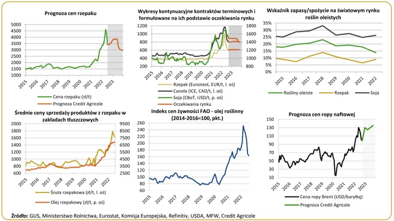 Ceny rzepaku w Polsce: rynek roślin oleistych w odwrocie. Co dalej? Prognoza   - 1