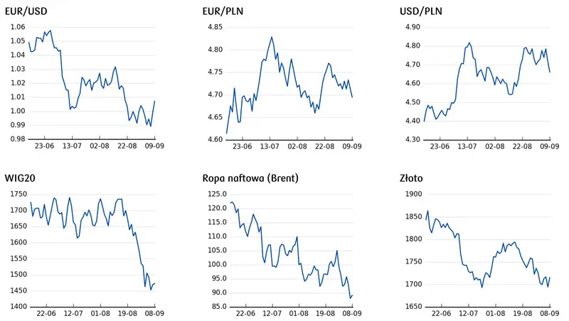 Kursy walut wprawiają w osłupienie: ogromne problemy euro! Tyle zapłacisz za franka (CHF), funta (GBP), dolara (USD), euro (EUR) i wiele innych [KOMENTARZ] - 6